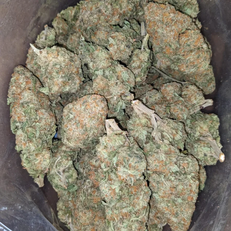 Alaskan ThunderFuck