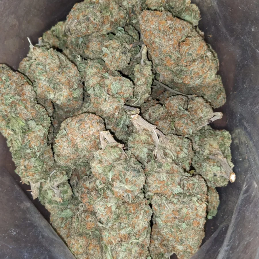 Alternative view of Alaskan ThunderFuck