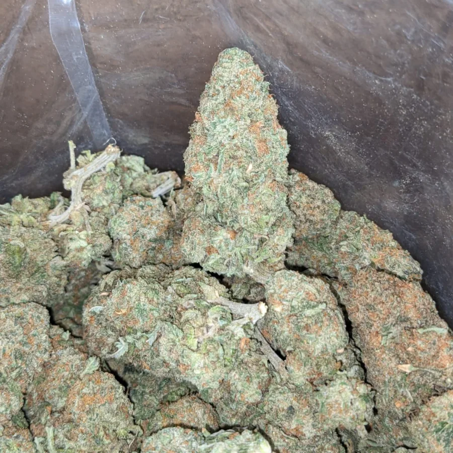 Alaskan ThunderFuck - Image 3