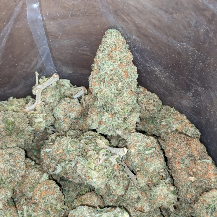 Alaskan ThunderFuck - Image 4