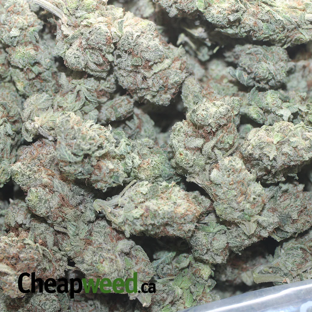 Berry White - Image 3