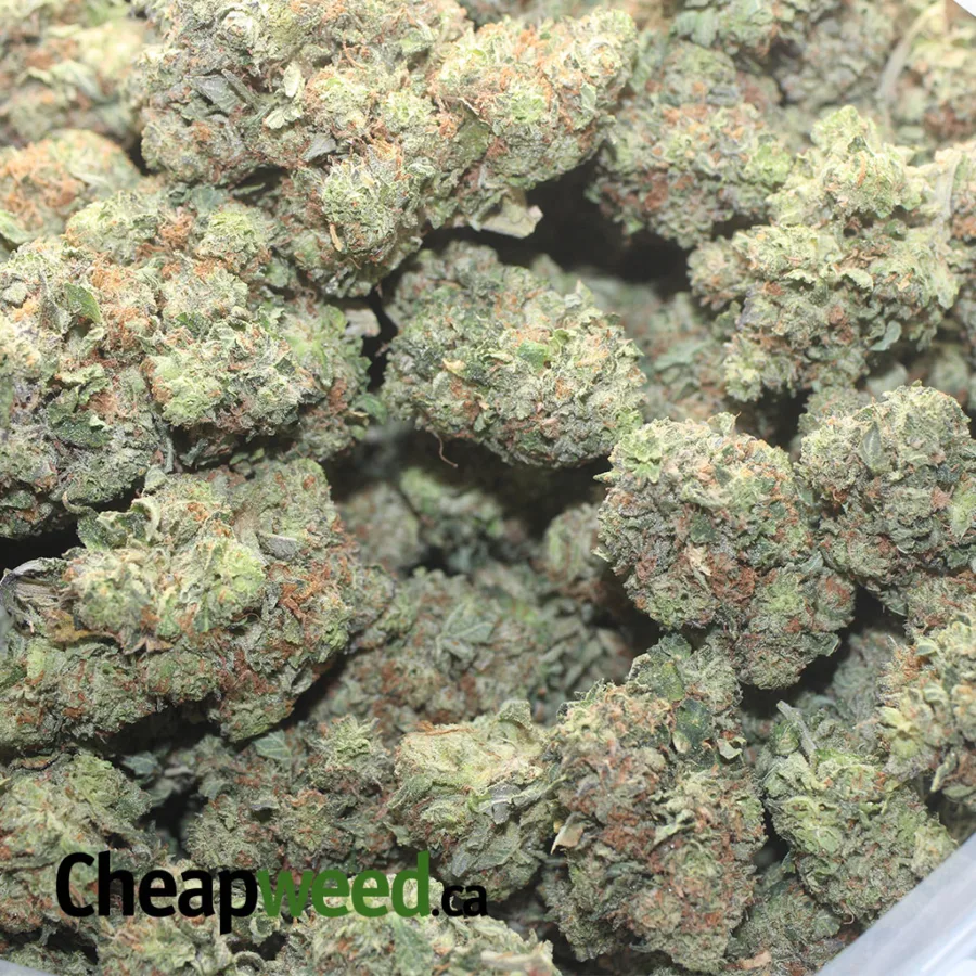 Bubba Wreck - Image 3