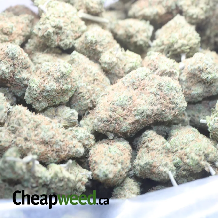 Chocolate Kush - Image 3
