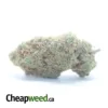 Chocolate Kush