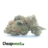 Columbian Gold