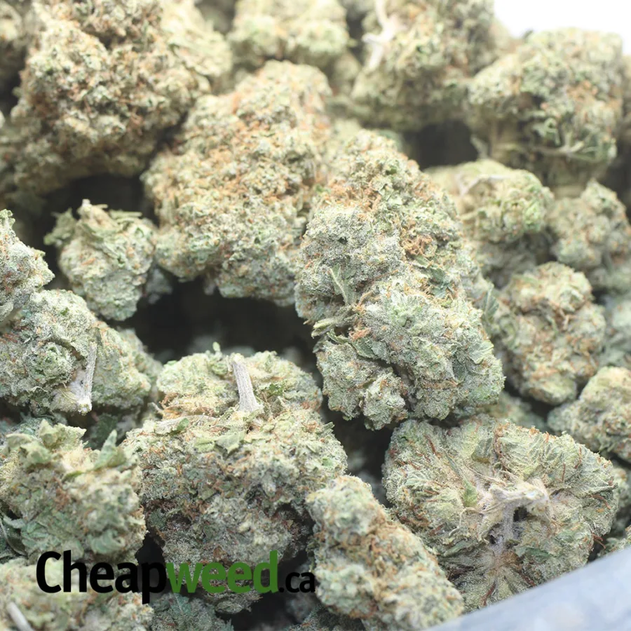 $45oz Cougar Piss - Image 3