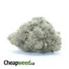 $45oz Cougar Piss