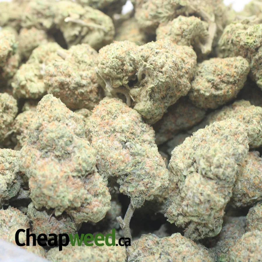 Crunchberries - Image 3