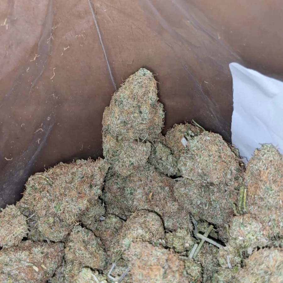Chocolate Kush - Image 5