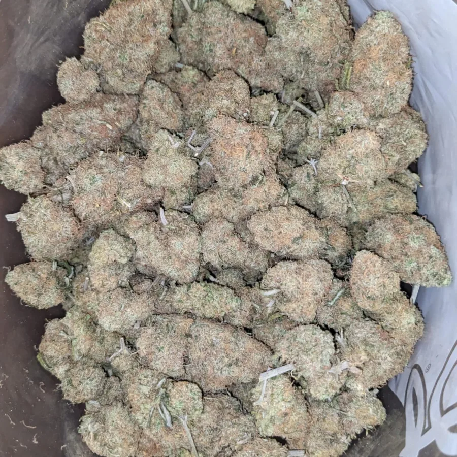 Alternative view of Chocolate Kush