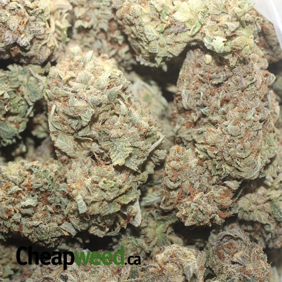 $45oz Dark Matter - Image 3