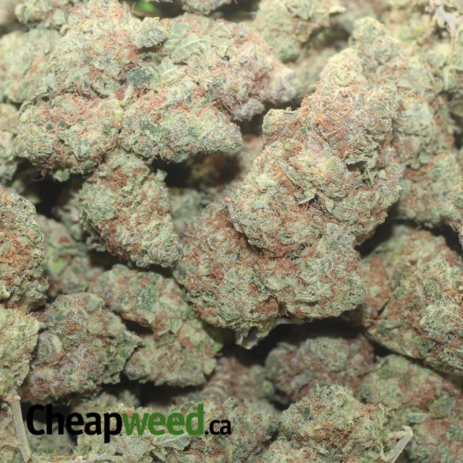 Donkey Butter - Image 3
