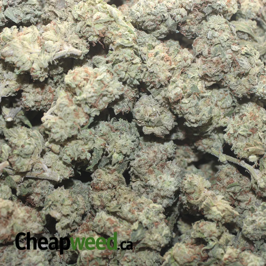 Frosty Flakes - Image 3