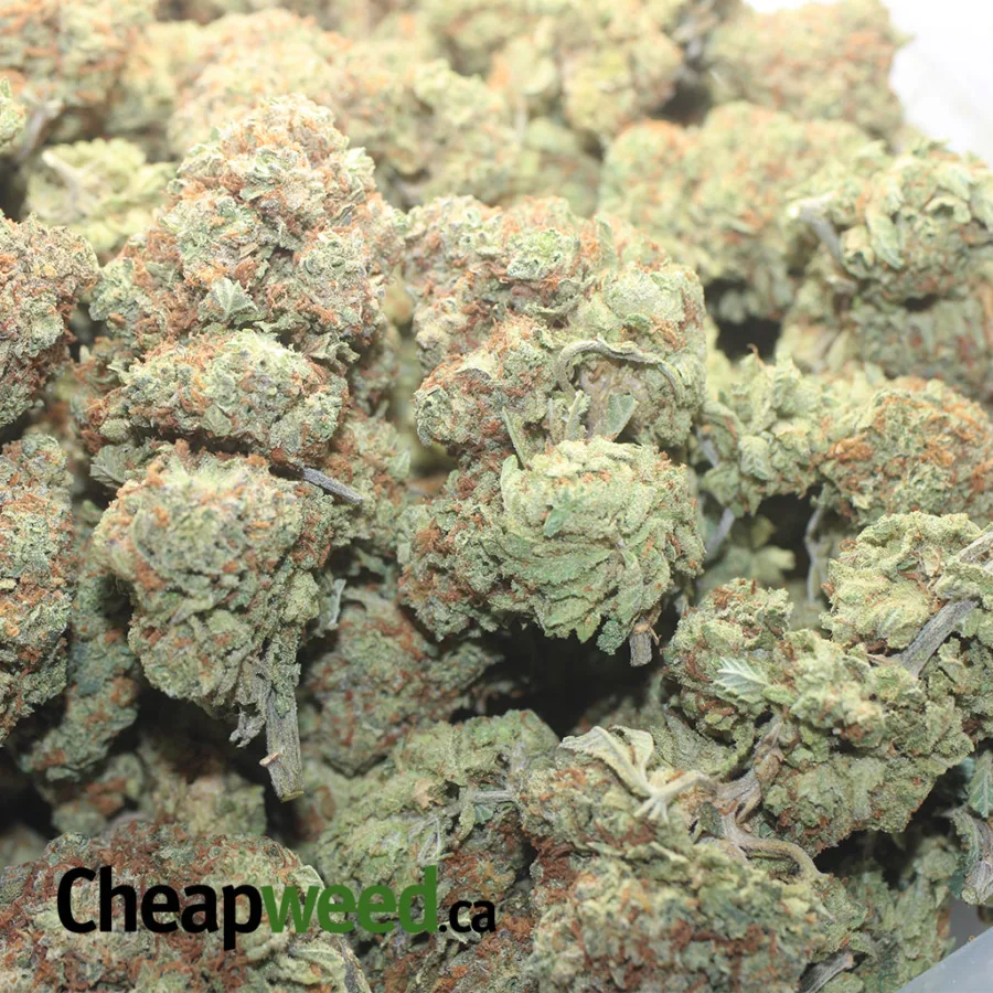Fruit Loops #2 - Image 3