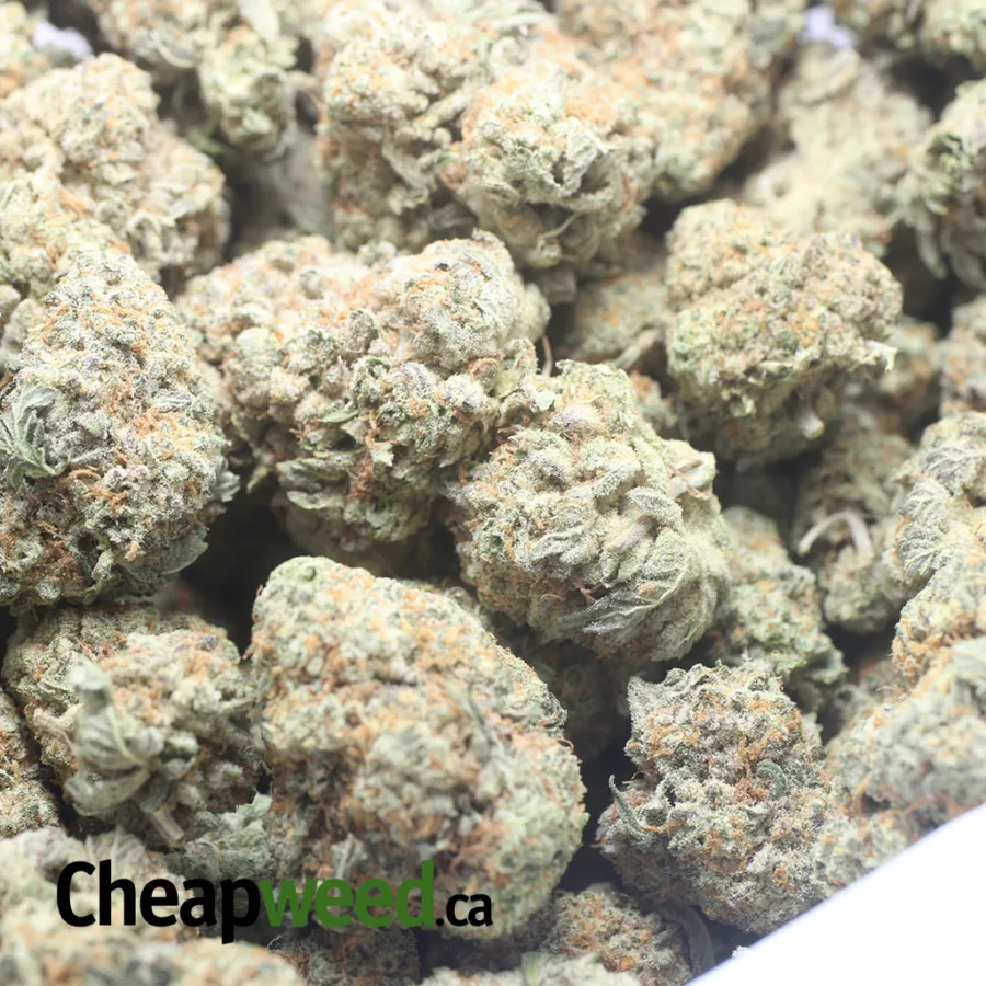 Ghost Train Haze - Image 3