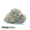 $ 75 Oz - Glitter Titties