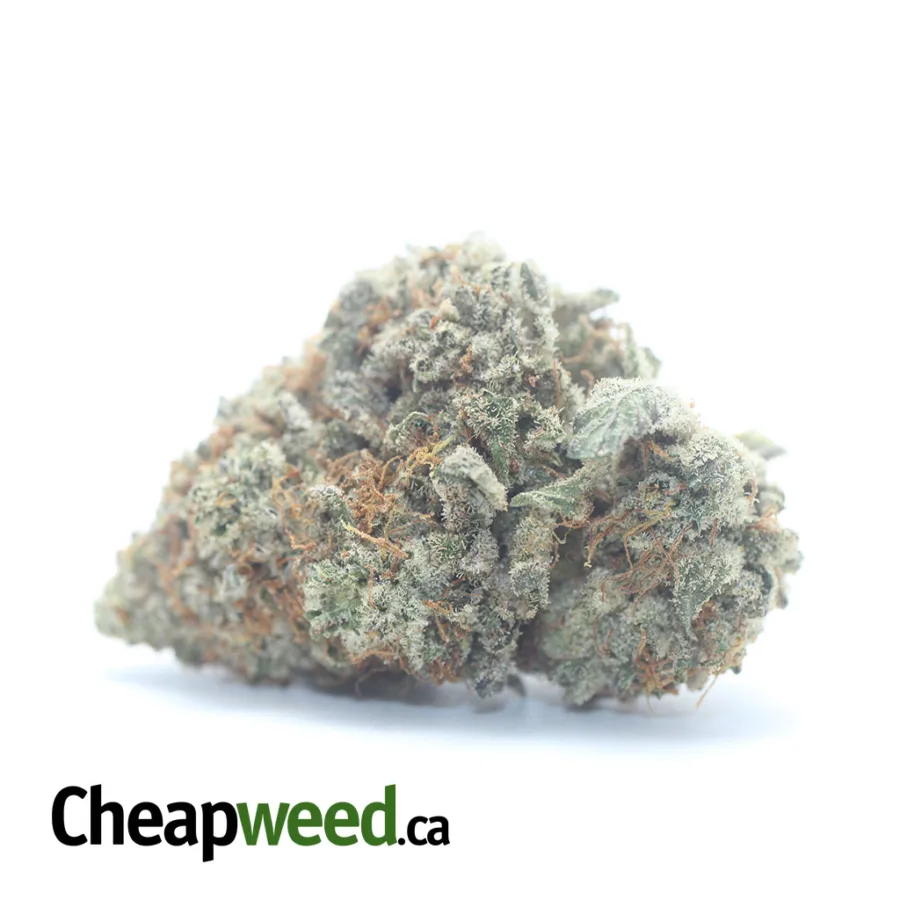 $ 75 Oz - Glitter Titties