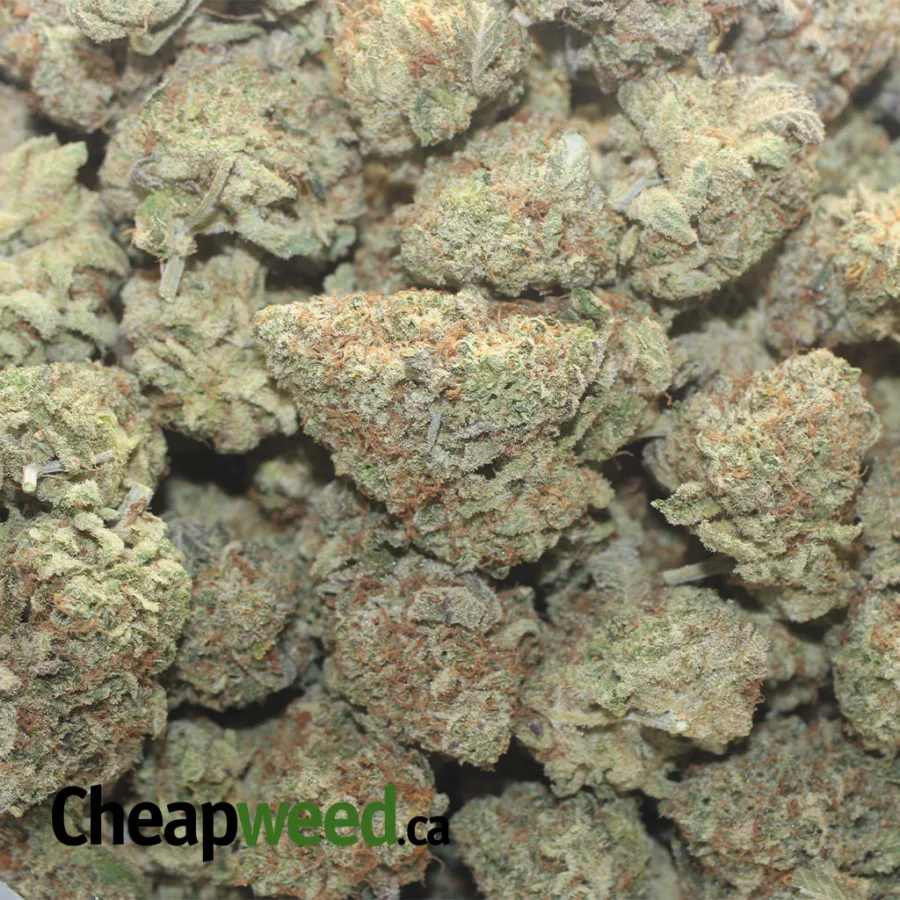 $ 75 Oz - Glitter Titties - Image 3