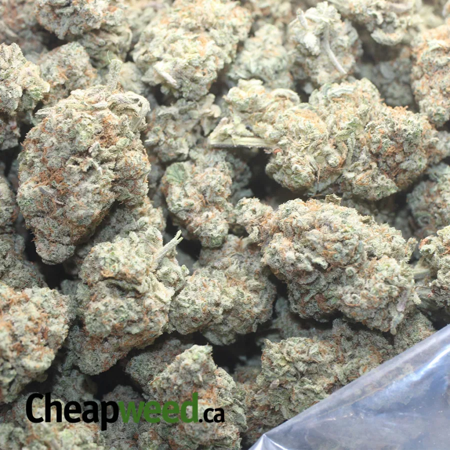 $45oz GMO Cookies - Image 3
