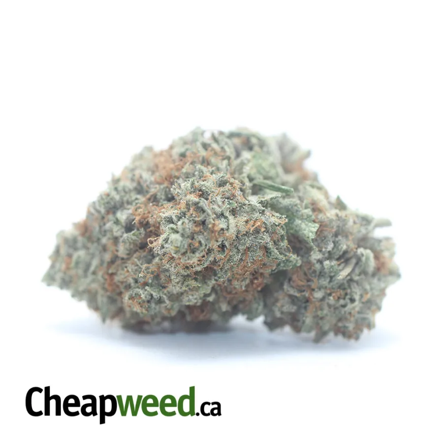Green Crack