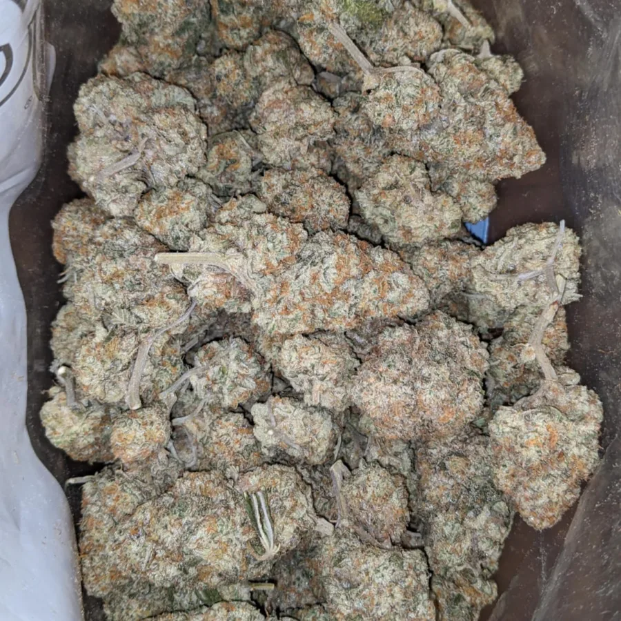 Ghost Train Haze