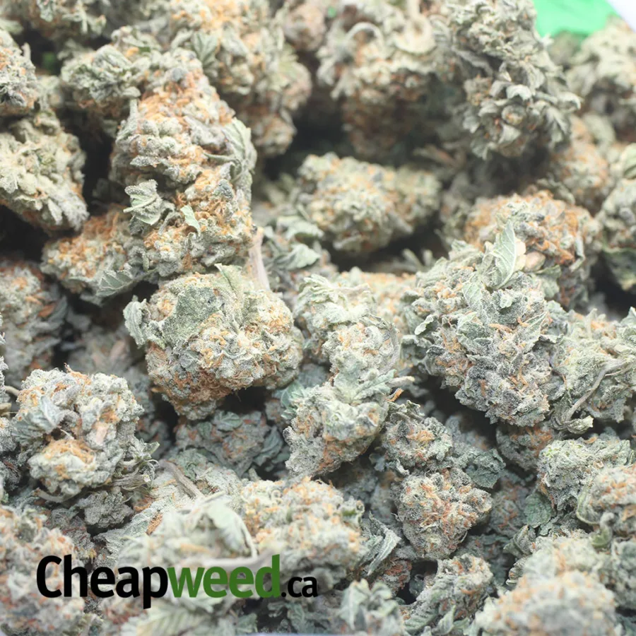 $45oz Huckleberry - Image 3
