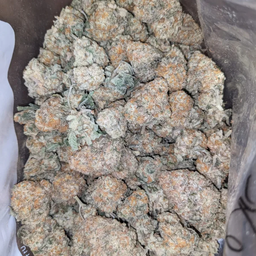 Jack Herer