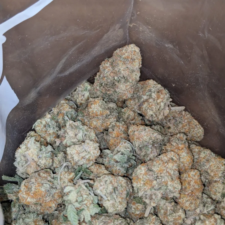 Jack Herer - Image 5