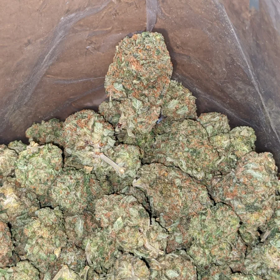 King Bubba - Image 3