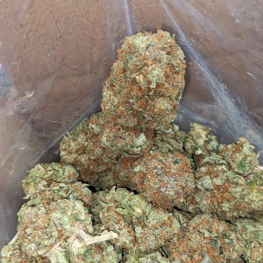 Master Kush x Rockstar - Image 3