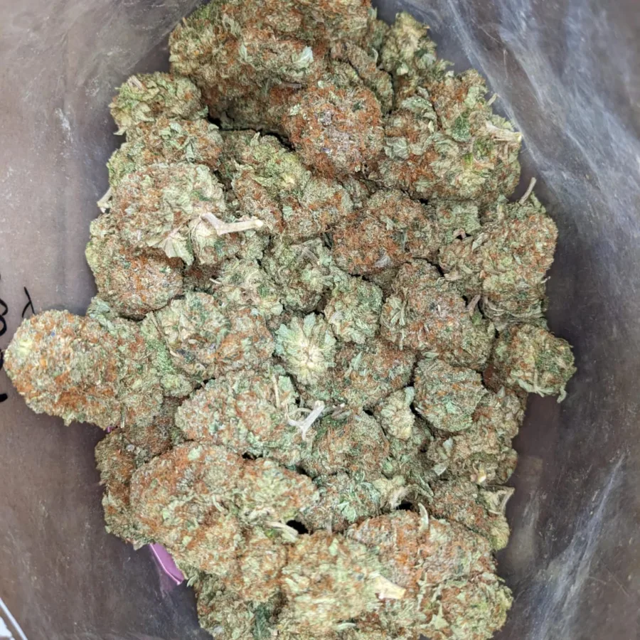 Master Kush x Rockstar