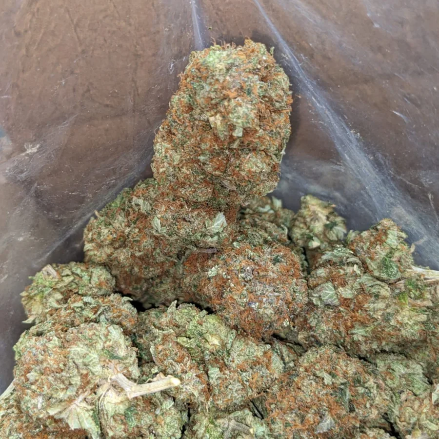 Master Kush x Rockstar - Image 4