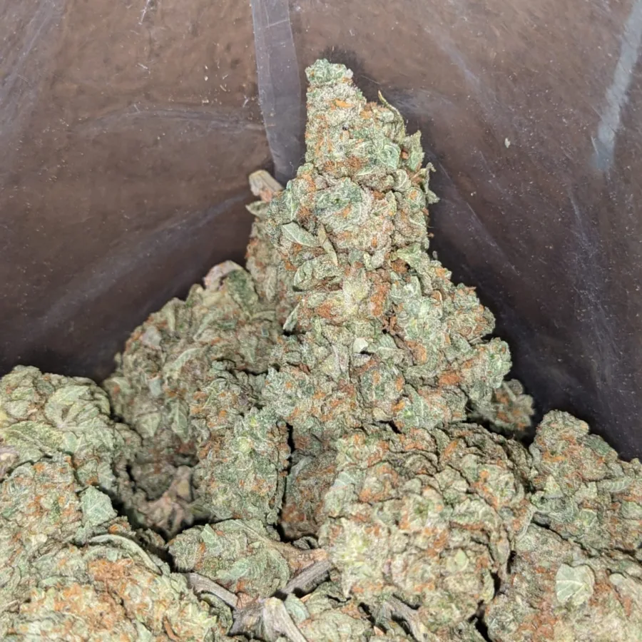 Minty - Image 3