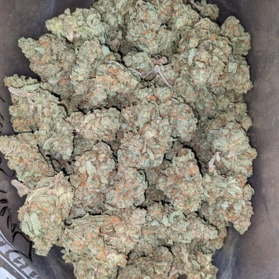 Alternative view of Minty