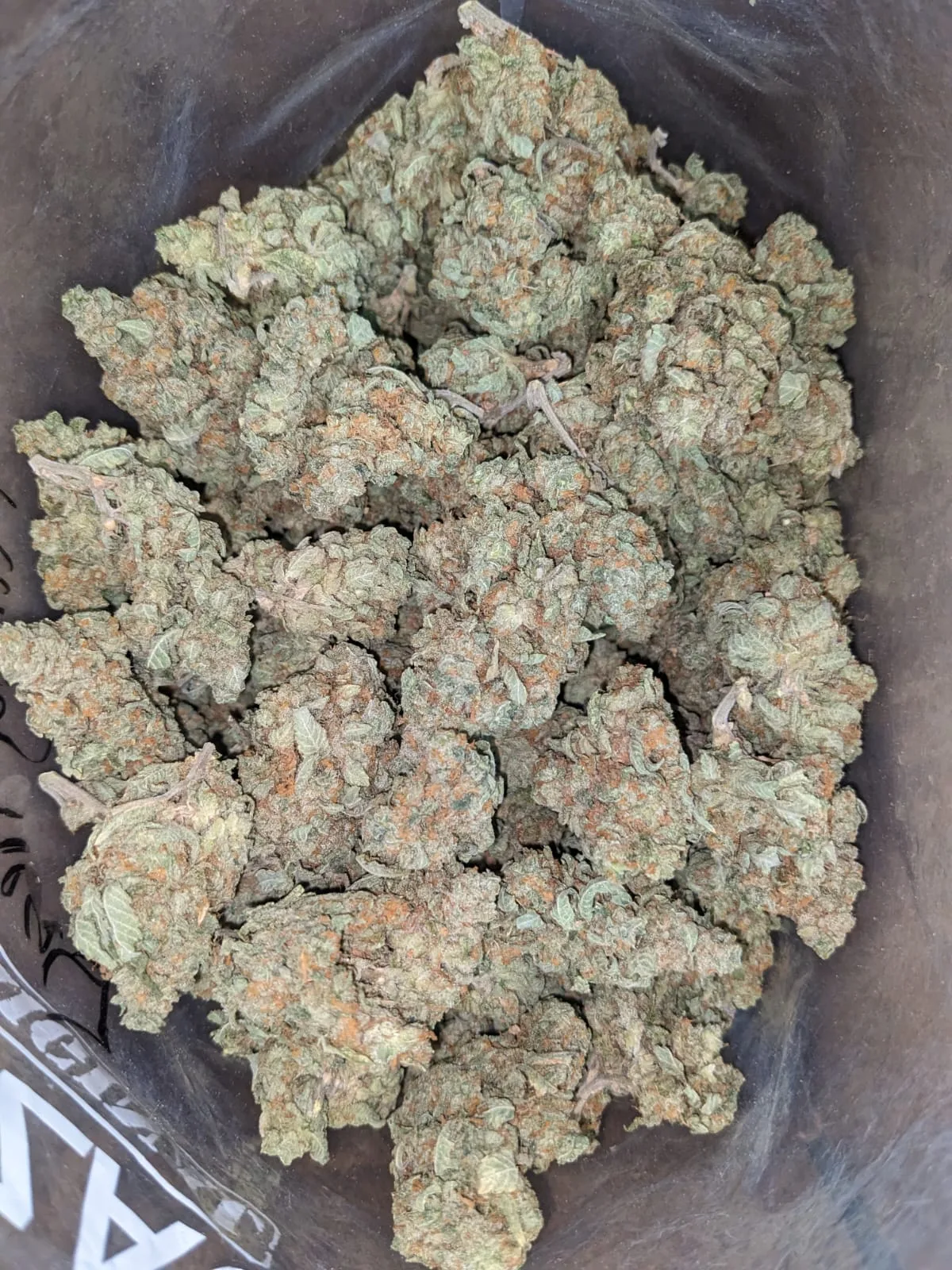 Minty - Image 2