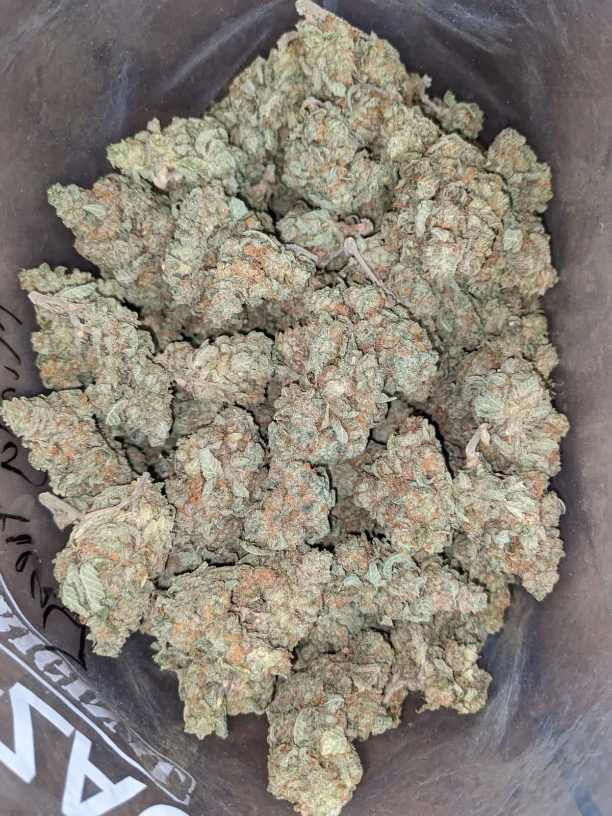 Minty
