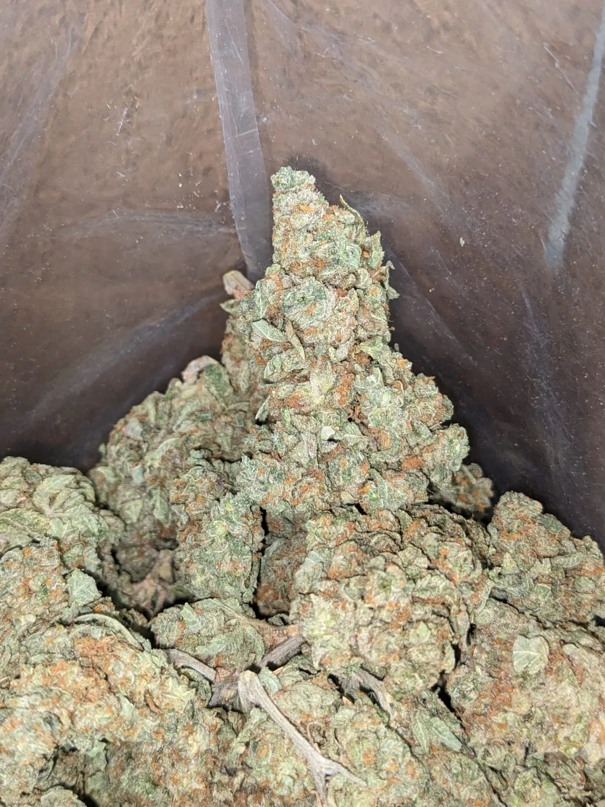 Minty - Image 4