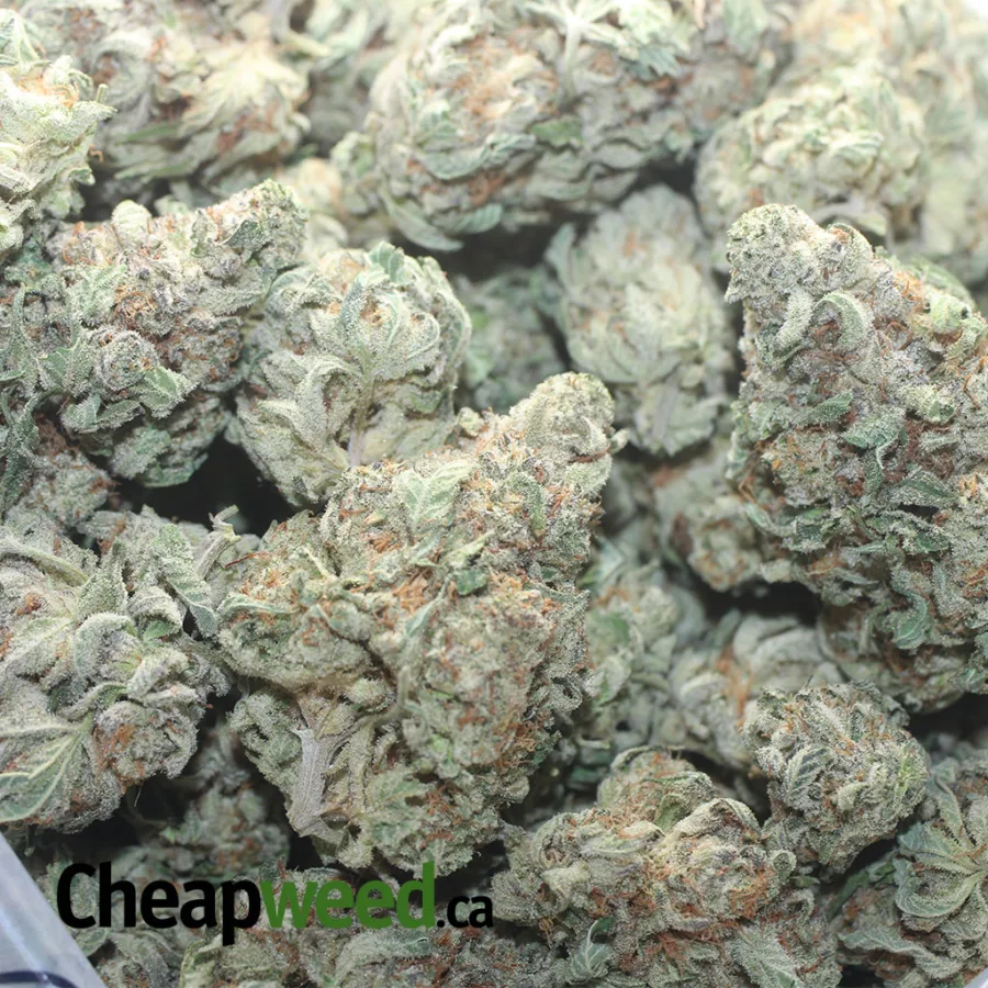 Oreo Cookies - Image 3