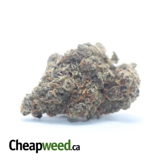 PEANUT BUTTER BREATH (2) PEANUT BUTTER BREATH 2 I Legacy