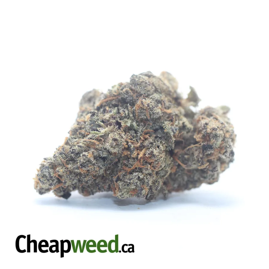 Peanut Butter Breath