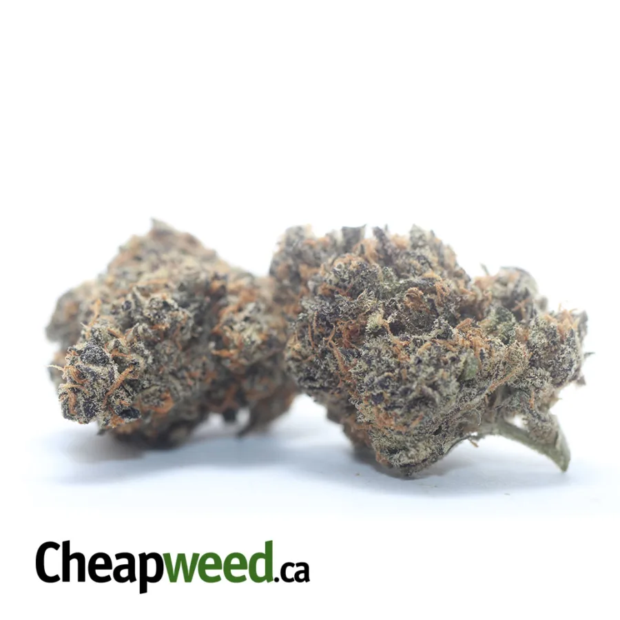 Alternative view of Peanut Butter Breath