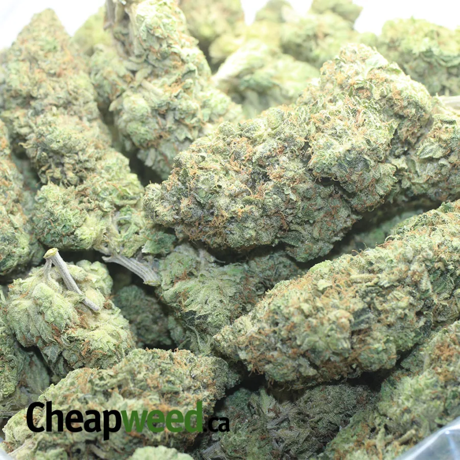 $ 69 Oz - Pinetar - Image 3