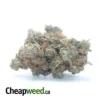 Pink Bubba