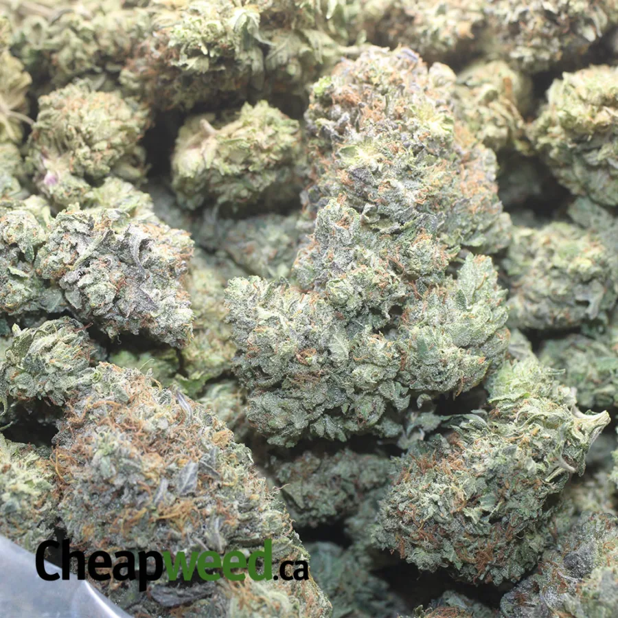 Pink Ghost OG - Image 3