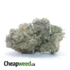 Pink Ghost OG