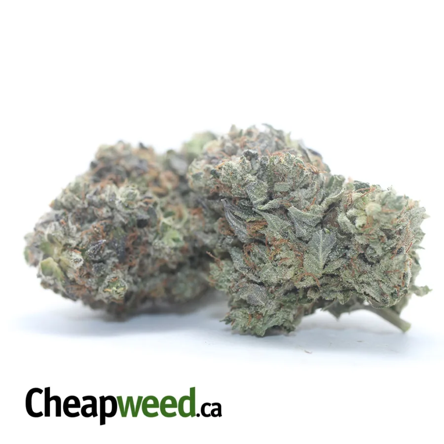 Alternative view of Pink Ghost OG
