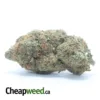 Pink Skunk