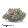 Platinum Blackberry