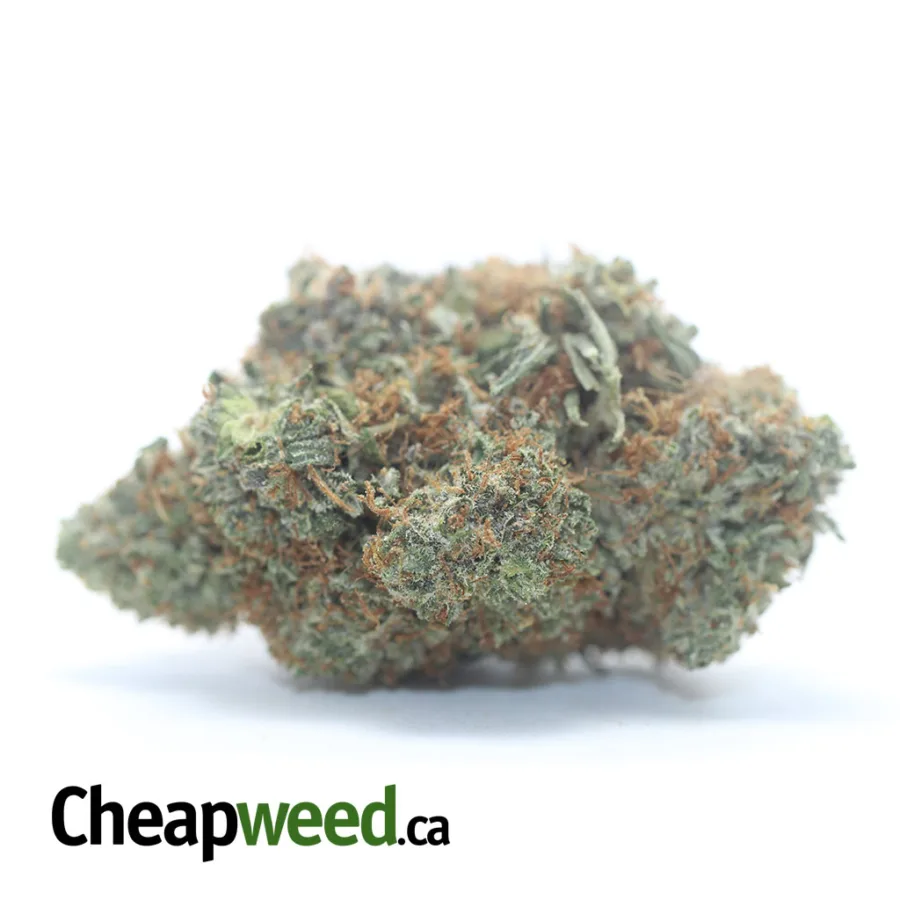Platinum Blackberry