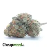 $47oz Pugs Breath